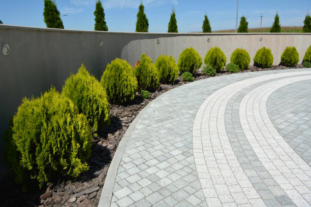 Best Concrete Paver Driveway  in Willis, TX