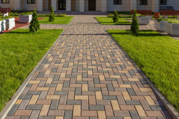 Best Professional Driveway Pavers  in Willis, TX